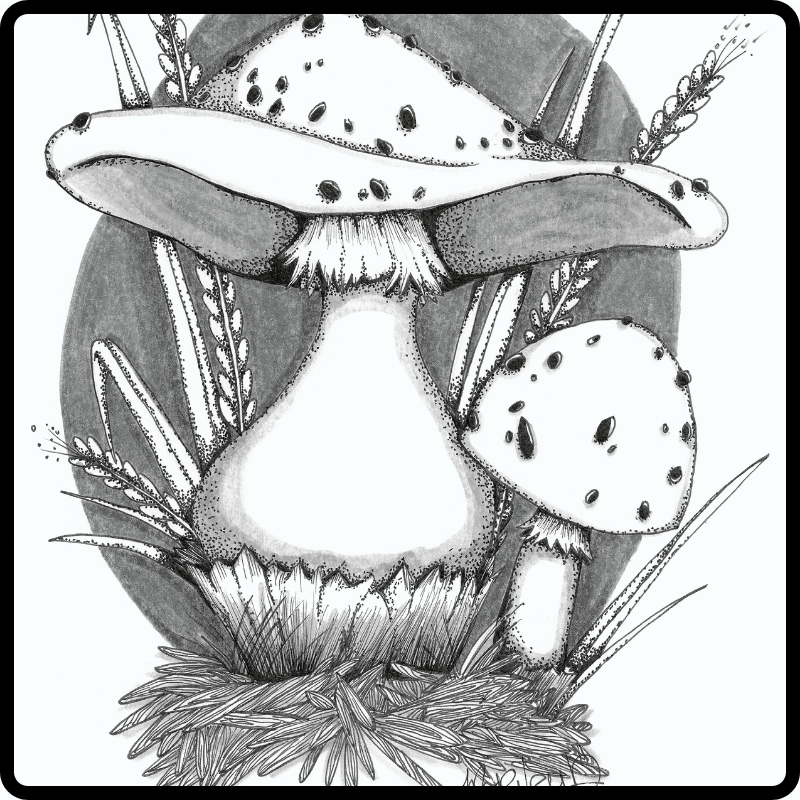 Oeuvres papier à encadrer